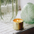 Octō - Travel Tin | Italian Garden